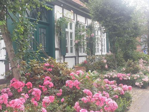 Rosindell cottage in Halle Westfalen, Deutschland