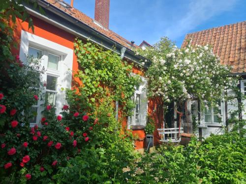 外部景觀, Rosindell cottage in 哈勒/威斯伐倫