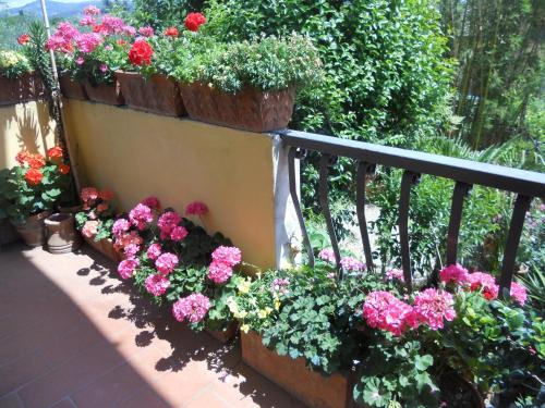 Agriturismo Le Macine - image 8