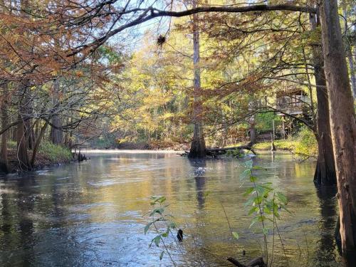 River Daze Cabin - A cozy cabin right on the river in Ridge Manor, USA