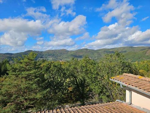 Garfagnana - Ferienwohnung mit Esel