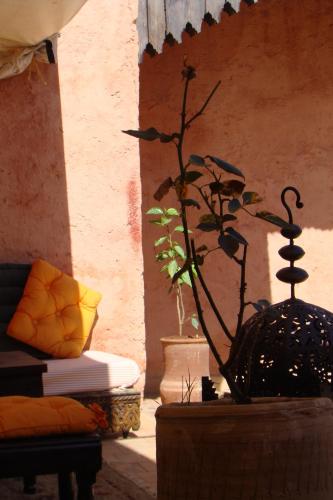 B&B Meknes - Riad Menthe Et Citron - Bed and Breakfast Meknes