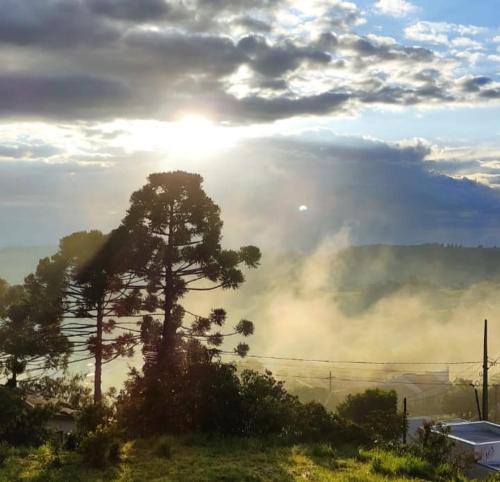 Hotel LF By Feliciano