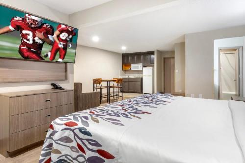 1 king bed, 1 sofa bed