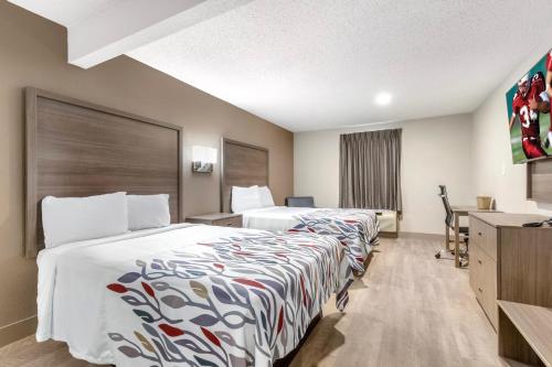 2 double beds, 1 sofa bed