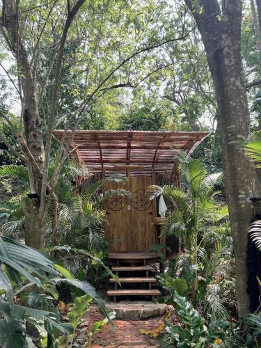 ONE Santuario Hotel y Reserva Natural