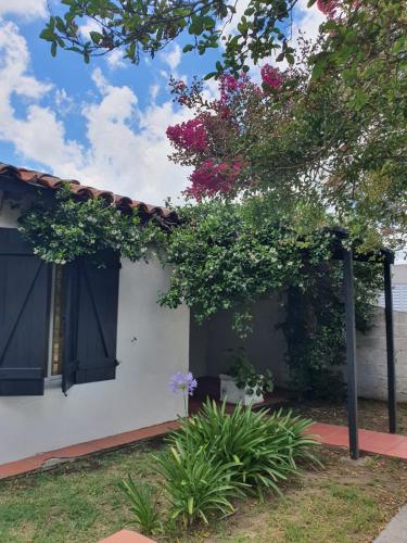 . Casa Colibrí