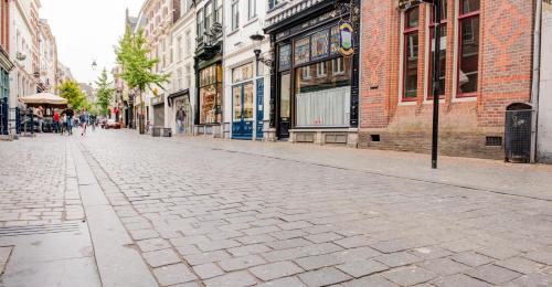 景觀, 德布龍曾庫茨 (De Bronzen Koets) in 奈美根市中心