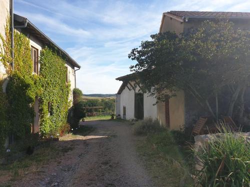 Maison l'âne vert