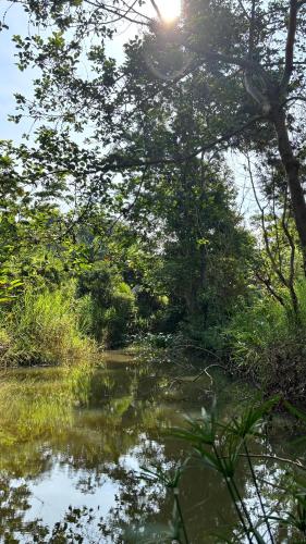 Lily's Stone Garden in Buon Buor