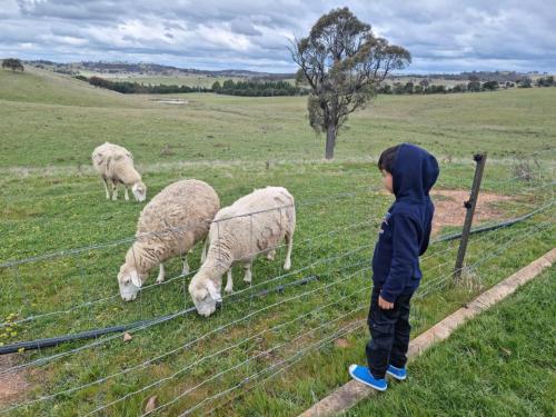 Country Paradise Estate in Hall