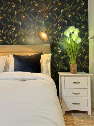 Blush Jungle - Homestay, Dublin (fotografie 7)