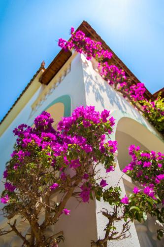 Romantic Studios, Lithakia (photo 4)