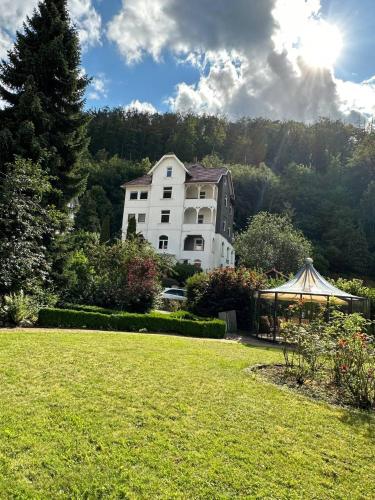 FeWo Villa Krodo Am Burgberg in Bad Harzburg