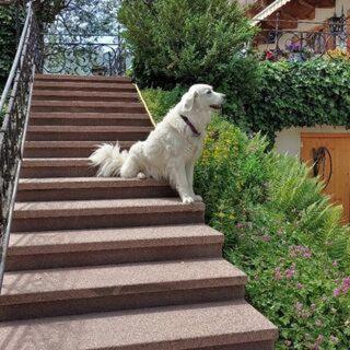 Ferienwohnung Klappacher photo 3