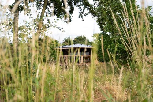 Ecau Lodge - Logement insolite à 30km de Pairi Daiza gîte à louer Haie du Roeulx