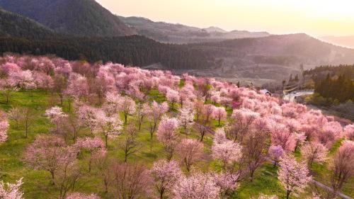 Urabandai Lake Resort Geihinkan Nekoma Rikyu