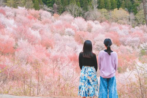 Urabandai Lake Resort Geihinkan Nekoma Rikyu