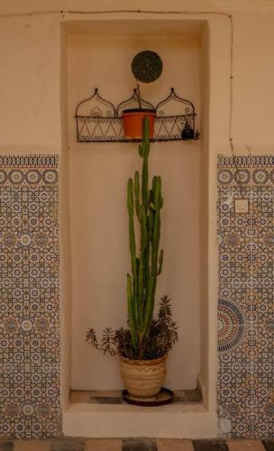 Riad Elaissi Riad Elaissi