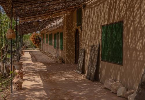 Riad Elaissi Riad Elaissi