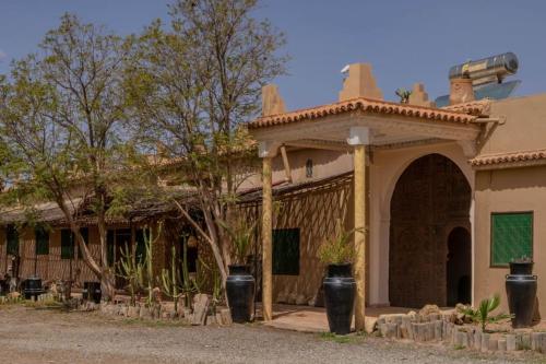 Riad Elaissi Riad Elaissi