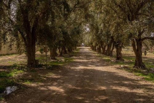 Riad Elaissi Riad Elaissi