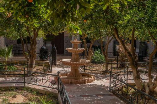 Riad Elaissi Riad Elaissi