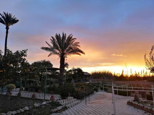 Riad Elaissi Riad Elaissi