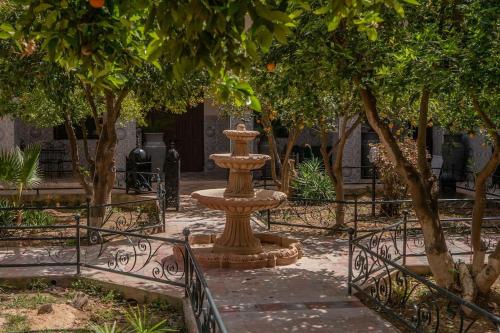 Riad Elaissi Riad Elaissi