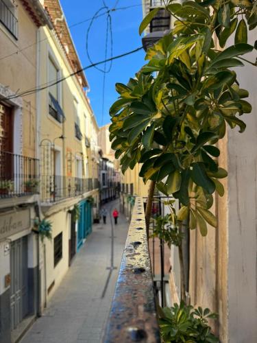 A szálláshely kívülről, Apartamento Irene 2 in Caravaca De La Cruz