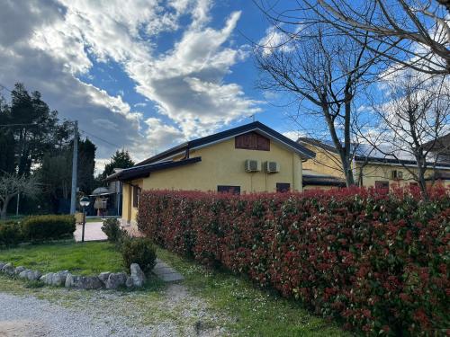 Accommodation in Ceprano