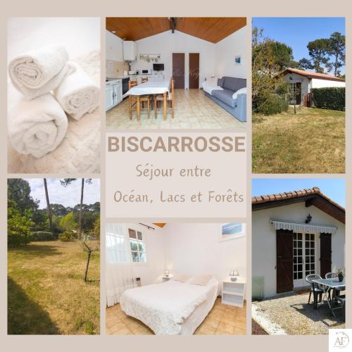 Petite maison mitoyenne à Biscarrosse - Bourg - Location saisonnière - Biscarrosse