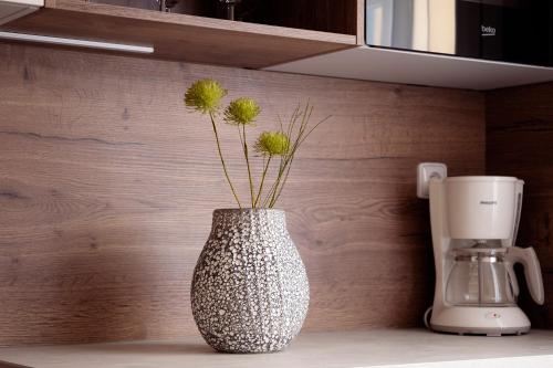 Family Two-Bedroom Apartment image 3