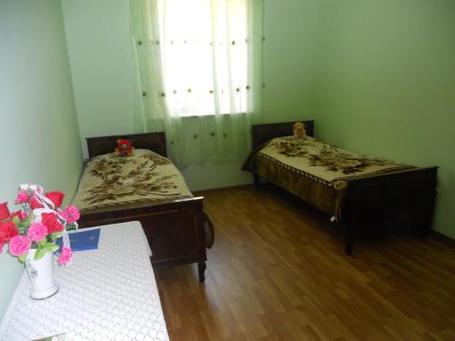 Lusya B&B