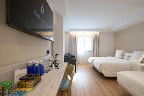 Hotel San Cristóbal - image 11