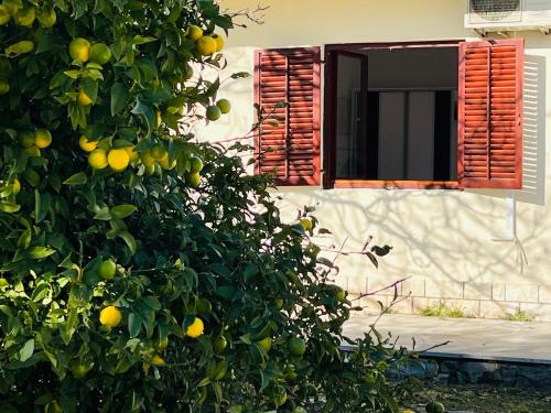 Beachfront apartment Drazen, with garden and parking Beachfront apartment Drazen, with garden and parking