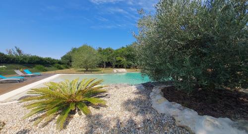 Domaine Erras Le Colibri - Location, gîte - Queyrac