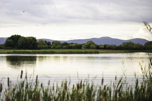 Herons Nest