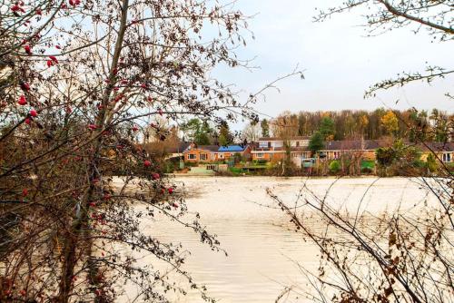Central Washington Apartment in Washington