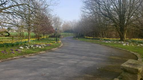 Grove Cottage at The Lodge in Tullow
