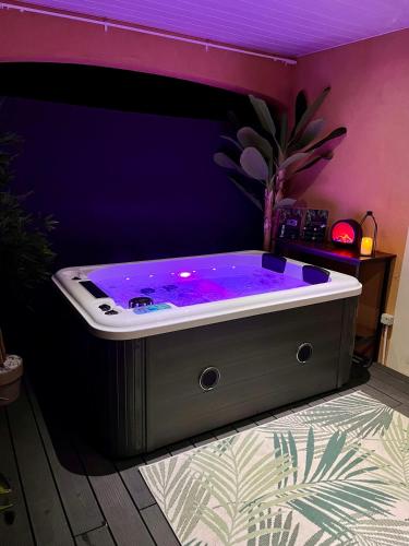 Hot tub, Suite de Charme - So Chic So Romantic in Bellegarde