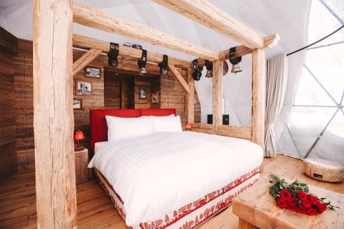 1 king bed, 2 sofa beds