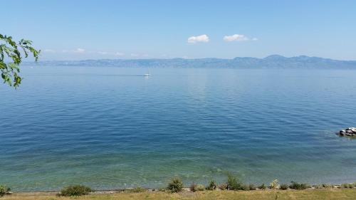 Studio entre Lac et Montagnes Evian - Lugrin