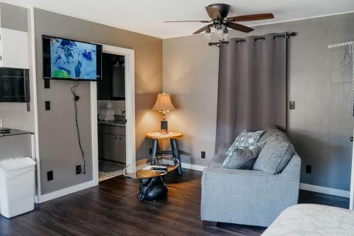 DMR Studio 3 - image 3