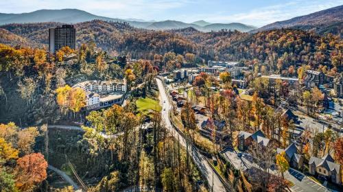 City Bear Cabin in Gatlinburg, USA