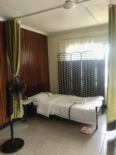 CC airport rooms, Nadi (fotografie 8)