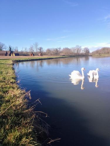 La Halte du Canal