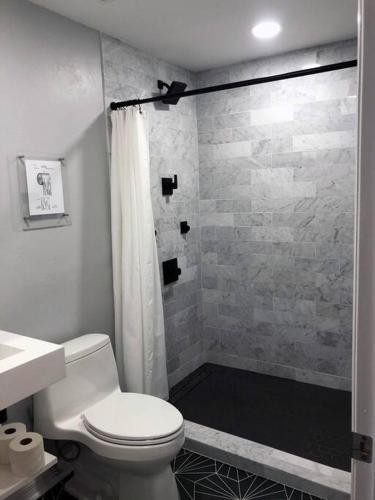 1BR/1Bath Downtown - Newly Renovated Premier Apt. detail