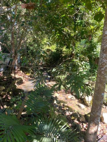 CASA CON ARBOLES FRUTALES EN EL CASERIO LA UNION TARAPOTO