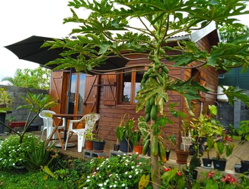 Bungalow d'une chambre avec vue sur la mer piscine privee et jardin clos a Saint Paul - Location saisonnière - Saint-Paul